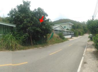บ้านเดี่ยว พลูตาหลวง สัตหีบ ชลบุรี